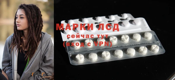 сатива Апатиты