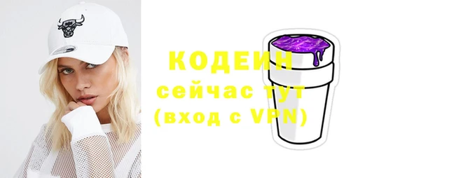 соль ск Надым