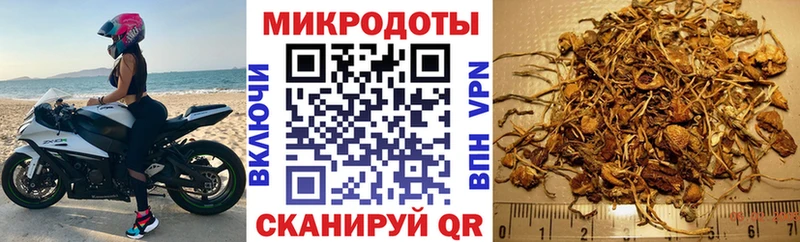 mega ссылки  Омск  дарк нет формула  Псилоцибиновые грибы прущие грибы 
